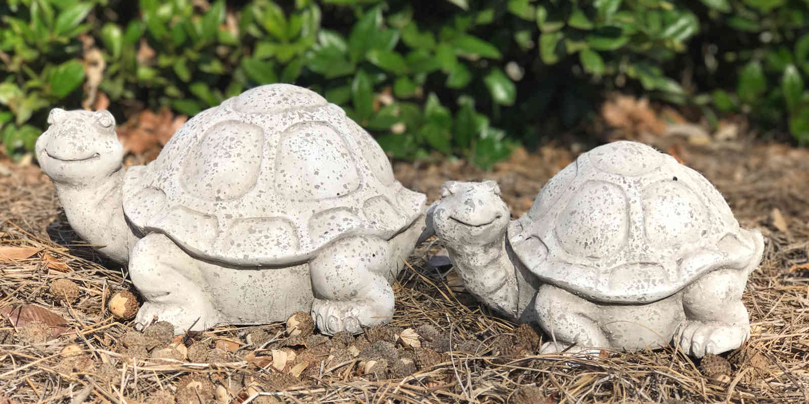 Collections Michael Carr Designs