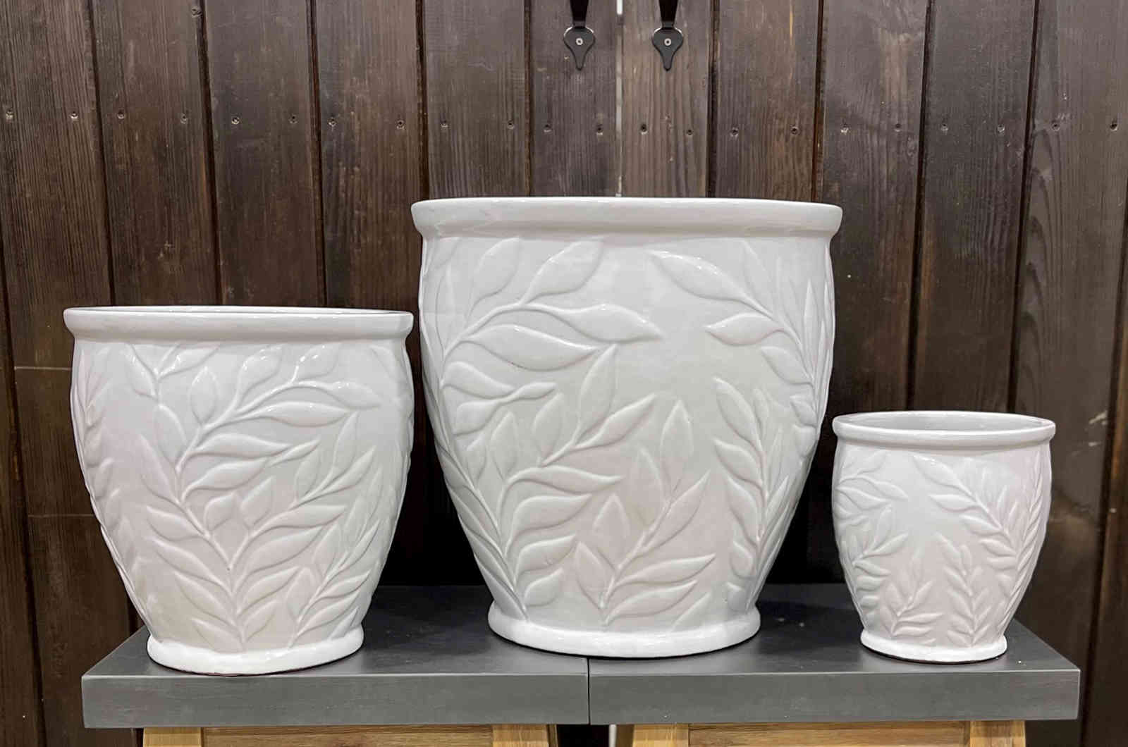 Graceful Fronds Collection