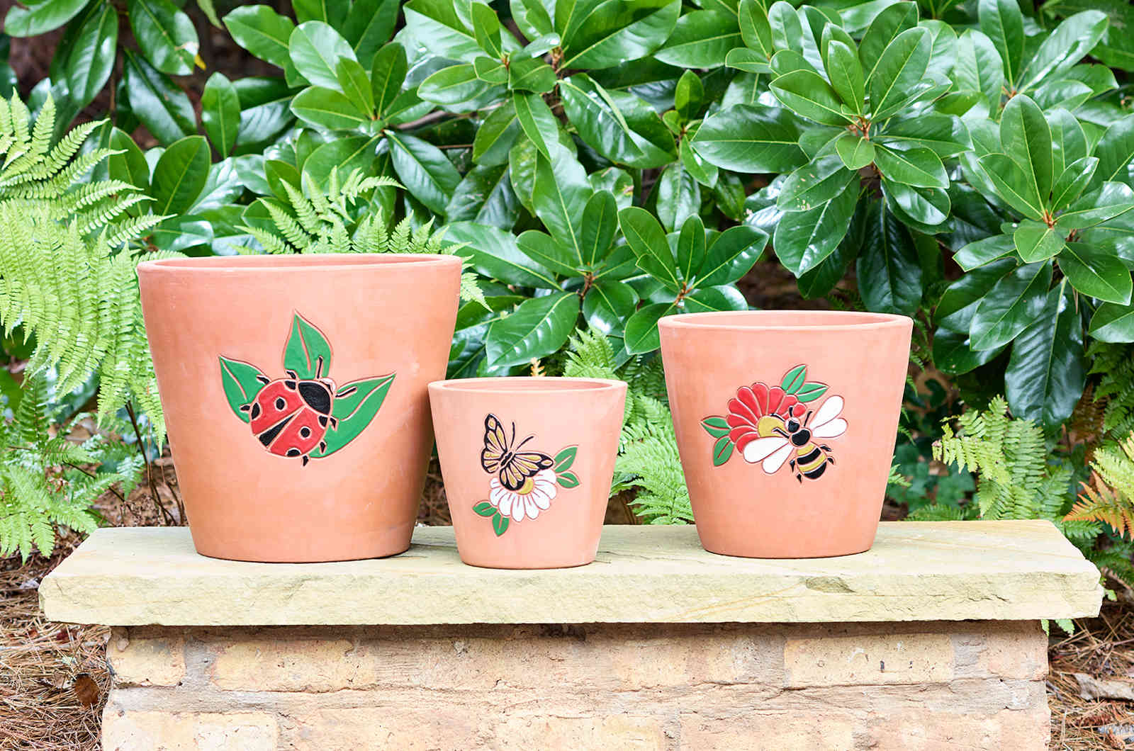 Pollinator Collection