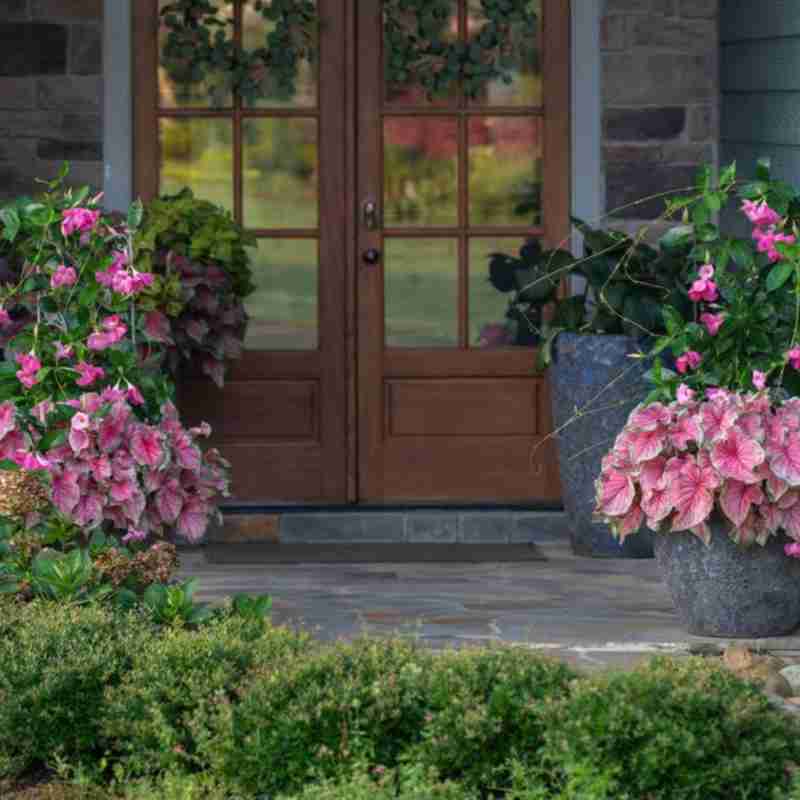 Design Inspiration Michael Carr Designs