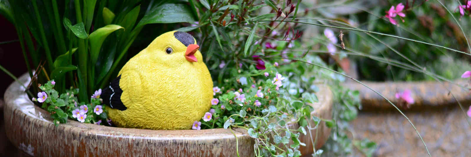 Collections Michael Carr Designs